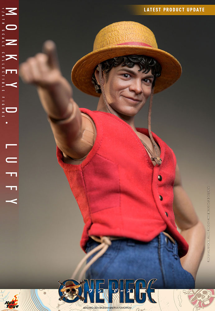 ONE PIECE(Netflix)���ƥ�ӡ��ޥ������ԡ��� 1/6��������ե����奢����󥭡���D����ե�