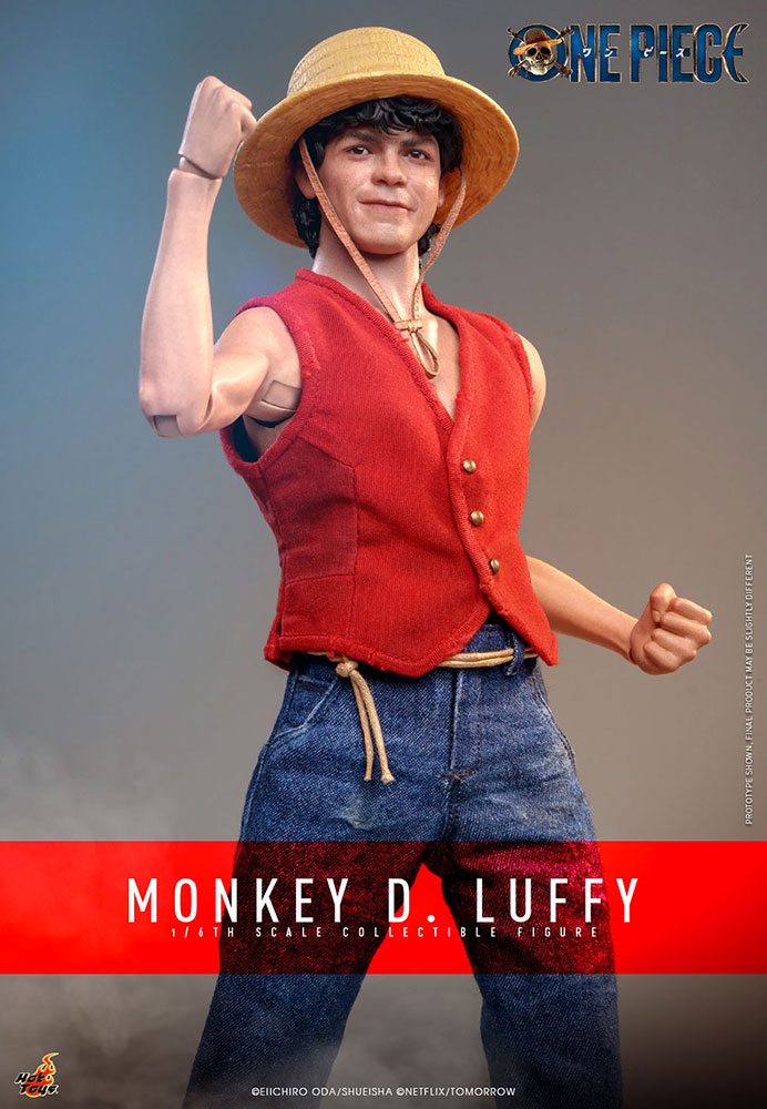 ONE PIECE(Netflix)���ƥ�ӡ��ޥ������ԡ��� 1/6��������ե����奢����󥭡���D����ե�