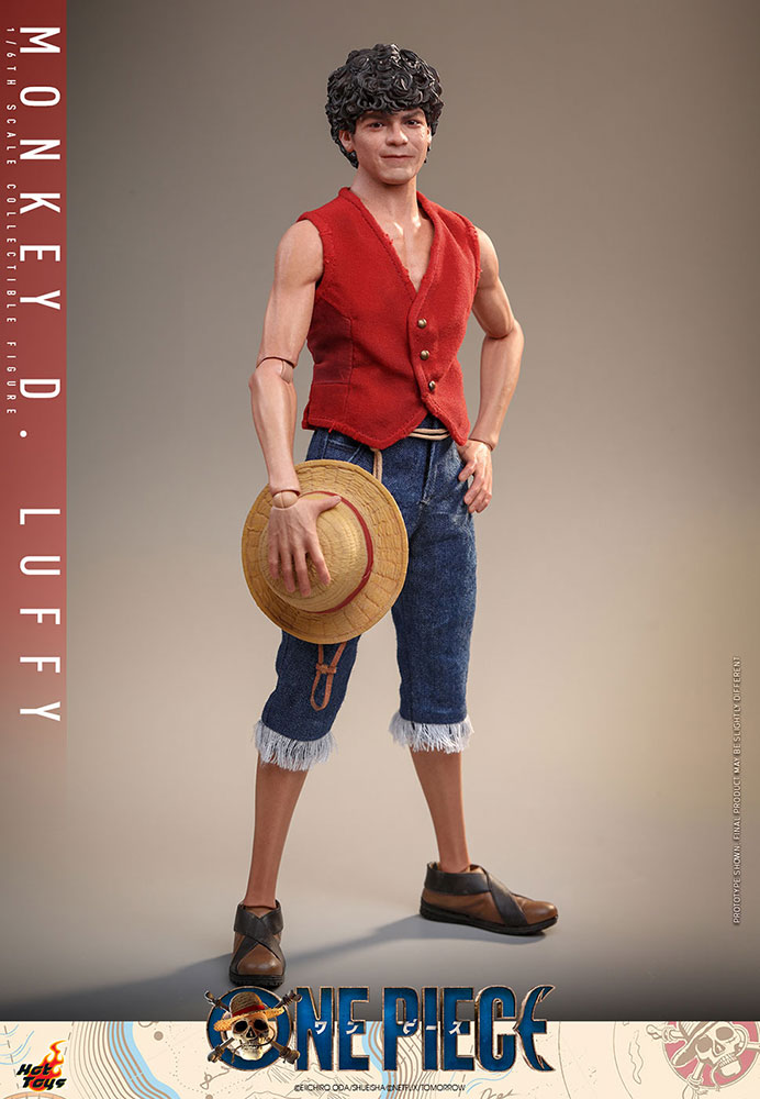 ONE PIECE(Netflix)���ƥ�ӡ��ޥ������ԡ��� 1/6��������ե����奢����󥭡���D����ե�