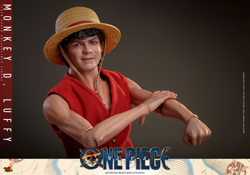 ONE PIECE(Netflix)���ƥ�ӡ��ޥ������ԡ��� 1/6��������ե����奢����󥭡���D����ե�