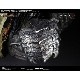 AVP2 �����ꥢ�� vs �ץ�ǥ���/ ����եץ�ǥ��� �饤�ե����� �Х��� �ץ��åץ�ץꥫ ȯ�����