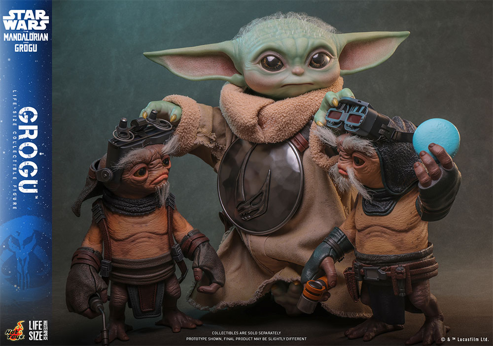 �饤�ե��������ޥ������ԡ��� ���������������� �ޥ�����ꥢ�󡦥���ɡ����������� 1/1��������ե����奢��������������ͽ��