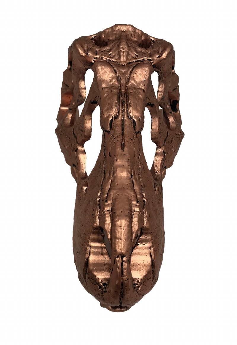 ����饷�å����ѡ���/ T-REX�ʥƥ���Υ����륹��å����� ������ ��������ץ��åץ�ץꥫ  ��ͽ��