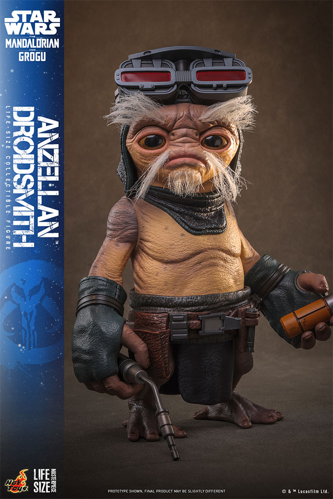 �饤�ե����� �ޥ������ԡ��� �������������� �ޥ�����ꥢ�󡦥���ɡ����������� 1/1��������ե����奢�����󥼥�͡ʥɥ����ɽ������ˡ�ͽ��