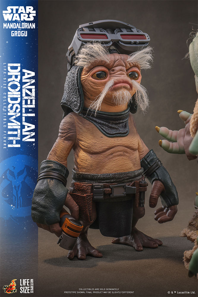 �饤�ե����� �ޥ������ԡ��� �������������� �ޥ�����ꥢ�󡦥���ɡ����������� 1/1��������ե����奢�����󥼥�͡ʥɥ����ɽ������ˡ�ͽ��