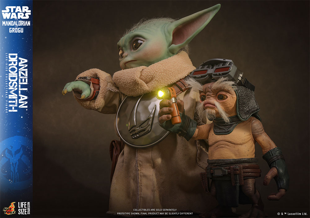 �饤�ե����� �ޥ������ԡ��� �������������� �ޥ�����ꥢ�󡦥���ɡ����������� 1/1��������ե����奢�����󥼥�͡ʥɥ����ɽ������ˡ�ͽ��