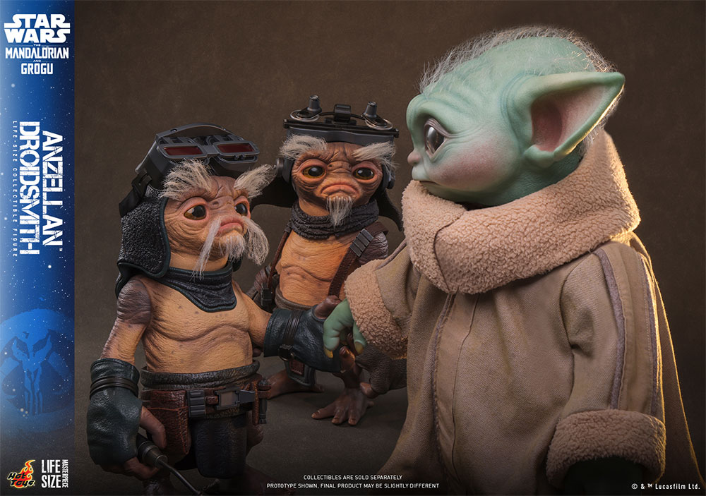 �饤�ե����� �ޥ������ԡ��� �������������� �ޥ�����ꥢ�󡦥���ɡ����������� 1/1��������ե����奢�����󥼥�͡ʥɥ����ɽ������ˡ�ͽ��