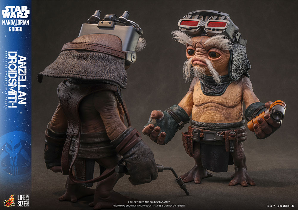 �饤�ե����� �ޥ������ԡ��� �������������� �ޥ�����ꥢ�󡦥���ɡ����������� 1/1��������ե����奢�����󥼥�͡ʥɥ����ɽ������ˡ�ͽ��