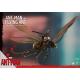 ����ȥޥ󡡥ࡼ�ӡ����ޥ������ԡ���COMPACT������ȥޥ������ȡ�ͽ��11935