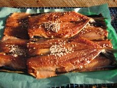 ޤΰʡ亮 1P61 7cm8cm