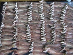 ���ޥ�ŷ�����봳 3������