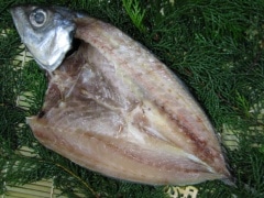 ����ŷ�����봳�ʣ���cm�̡�