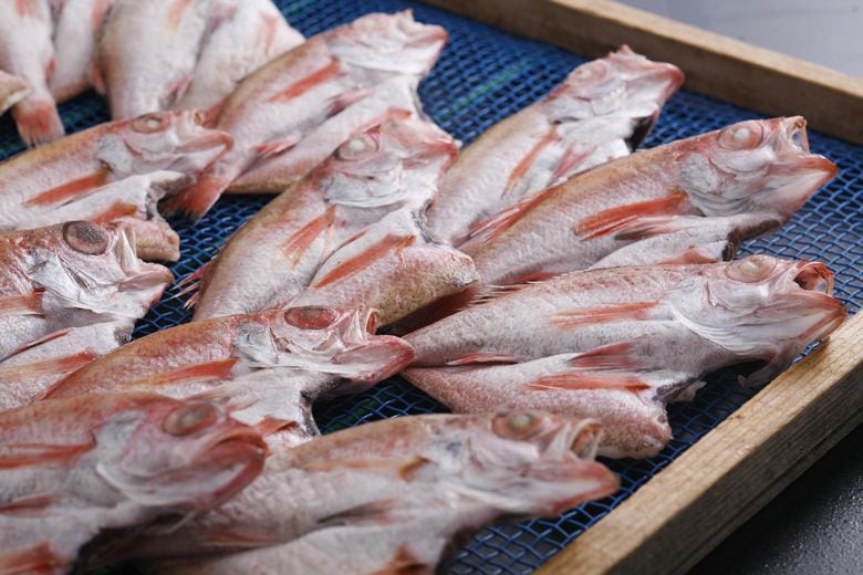 �Υɥ���ŷ�����봳��25����̡�