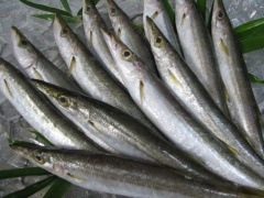 ���ޥ� �� �� �� ��ɤ)