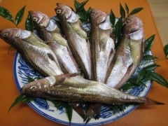 �ϥ��ϥ����봳��  ( 8 ɤ ��