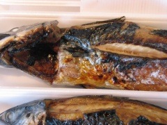 ���ФλѾƤ� ��15�����20�������