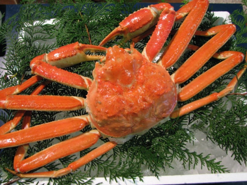 ���ࡡ�ܥ��롡�ѥ��ˡ�(500��)