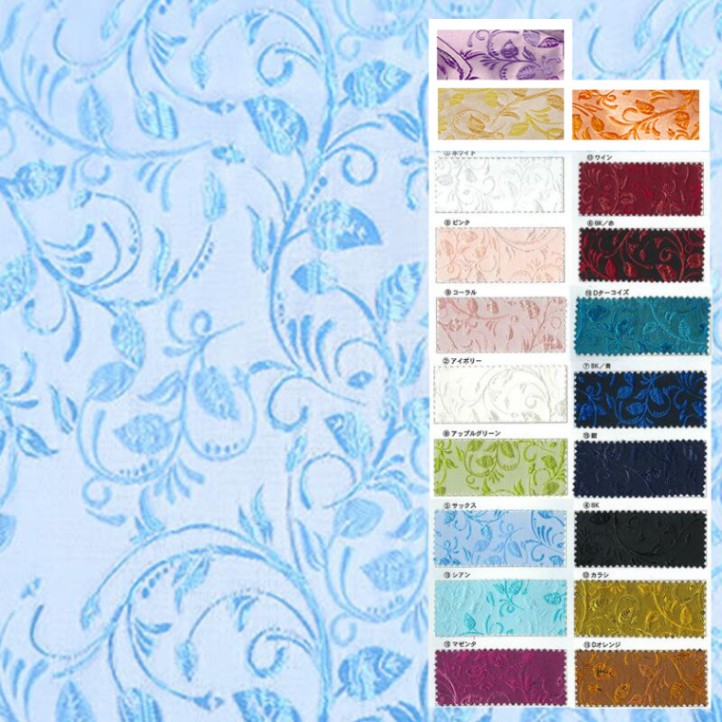 �ɥ꡼��ե��쥸�㥬����(��19��)��50cm�ʾ�10cmñ�������