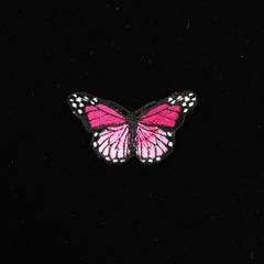 �����ϥ�åڥ�(��6��)��1��ñ�������