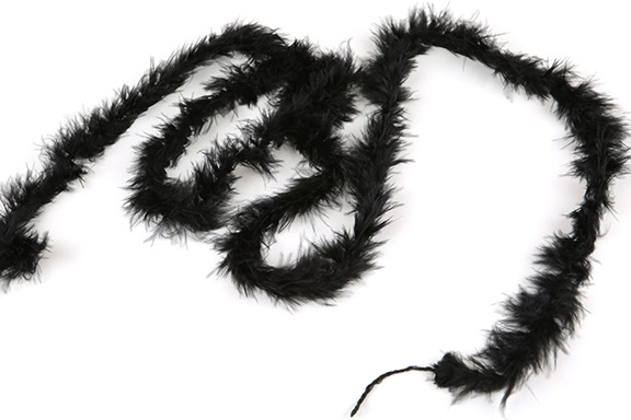 ں߸˸¤TOCCA406˺٥ޥܡ[10m](2.)1ȿñ