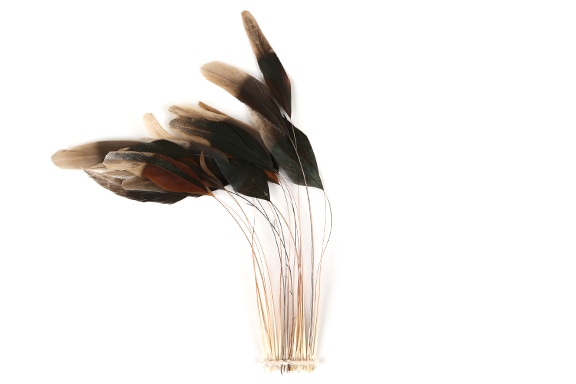 【在庫限り】コックストリップフリンジL[約20本入り](全1色)≪1袋単位販売≫