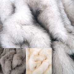 ĥͥե(3)50cmʾ10cmñ