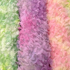 �ԥ��ե�������(��3��)��50cm�ʾ�10cmñ�������