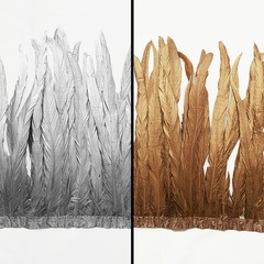 �ڥͥåȸ��꾦�ʡ�����󥰥ե������ե��(��2��)��1ȿñ�������