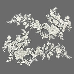 ��ð�������(��1��)��1�ڥ�ñ�������