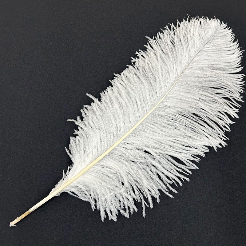 オーストリッチ60cm羽根(全2色)≪1本単位販売≫｜日暮里の特殊・衣装