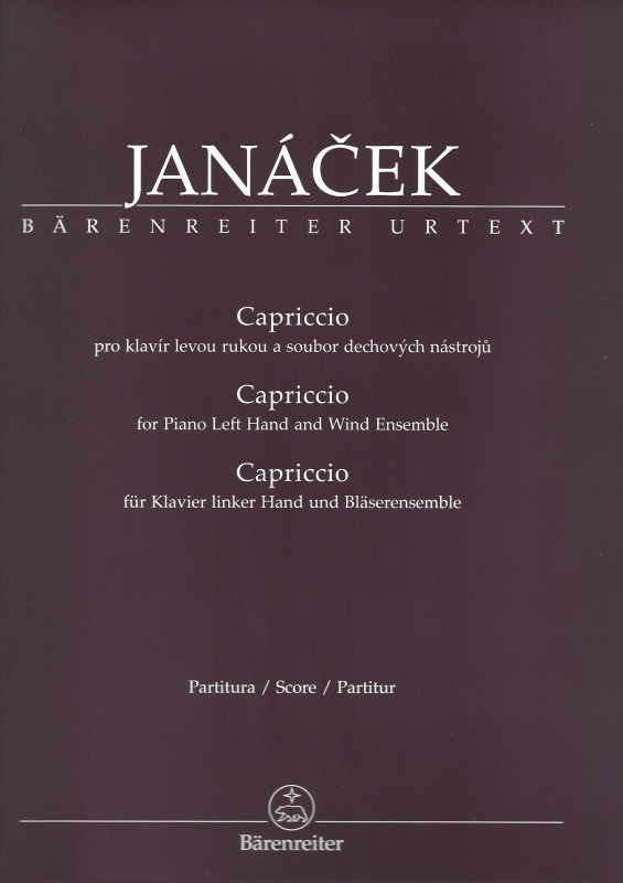 ��ʥ����å������ץ�å���/�ԥ��Ρʺ���ˡ��ɥ��󥵥�֥�(BA)