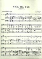 ジョルダーニ カロ ミオ ベン 歌 ピアノ
