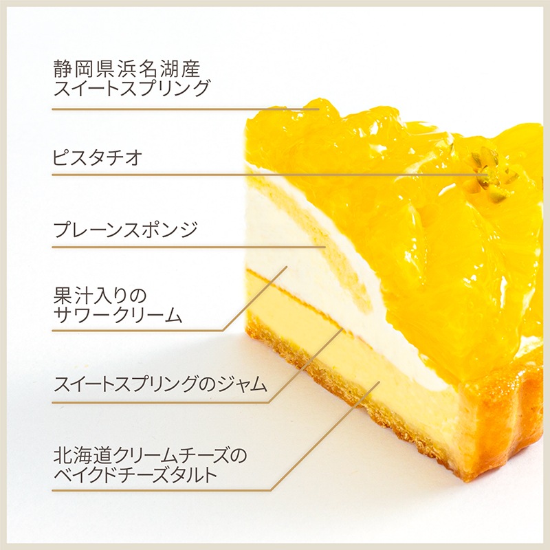 静岡県産スイートスプリングのフロマージュタルト【季節限定】