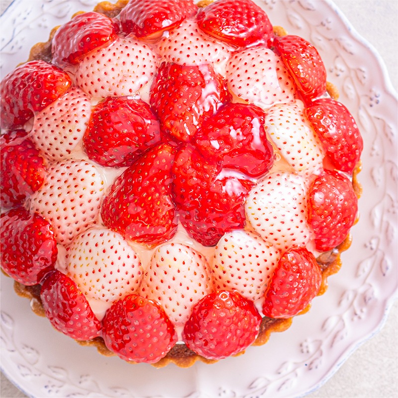 《3月中旬再入荷予定》コーラルベリー 紅ほっぺと白雪小町の紅白タルト【季節限定】