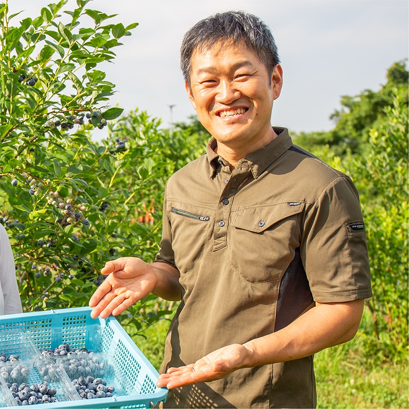 北海道ベリーファーム有機ブルーベリーのフロマージュタルト【季節限定】