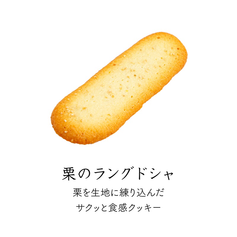 【予約受付中】ラ・メゾン 　プティフール・ロートンヌ S※10月24日（土）以降のお届け