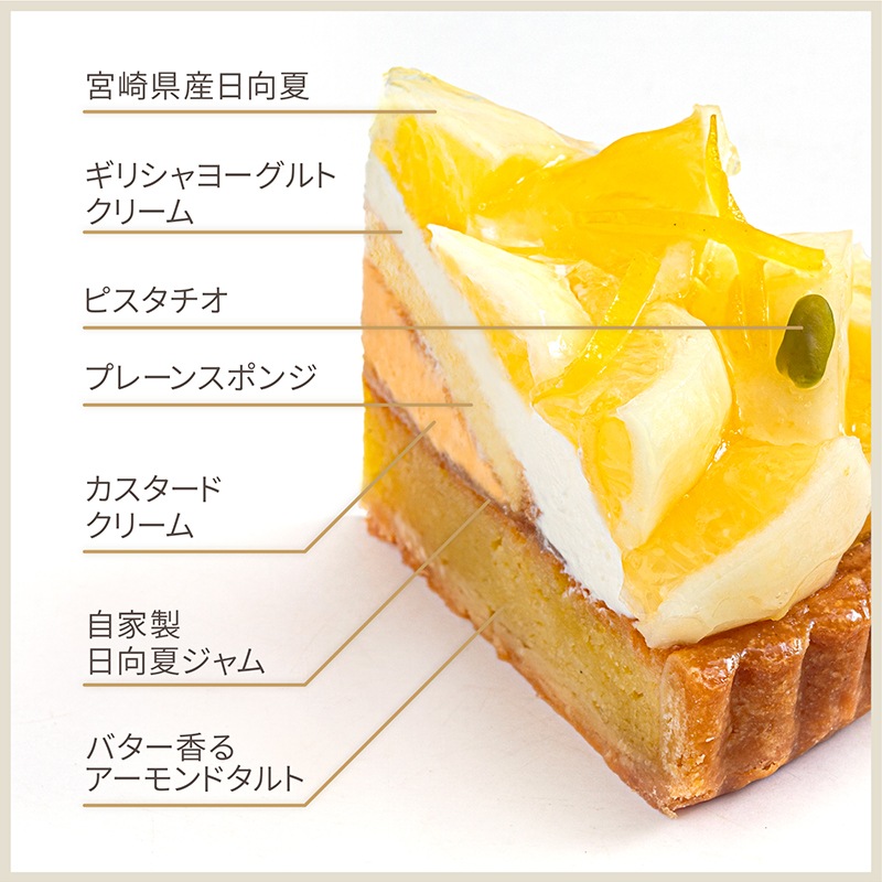 宮崎県産日向夏とギリシャヨーグルトクリームのタルト【季節限定】