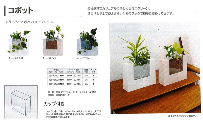 �����奢��˥��꡼������뿷���г۱���ݥå�