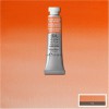 W&N 󥶡˥塼ȥ󡡥ץեåʥ롦顼(5ml)󥶡󥸡ʥåɥɡˡS1