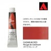 �ۥ�٥��� �������å����顼 6���20ml�� AU022 ���ɥߥ��� ��å�