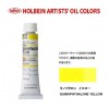 �ۥ�٥���������6��(20ml) H065 ���Υե����󡡥�������