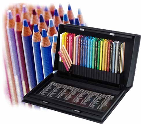 ��ɩ����ɮ��˥��顼100�����å� �ץ��Ⱖ��