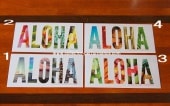 ϥ磻 HDM ALOHA/ Photo ƥå2