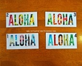 ϥ磻 HDM ALOHA Photo ƥå ⡼