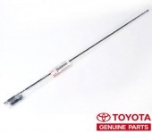 (�߸ˤ���)US�ȥ西���� ����ƥʡ��饸������ƥʡ�����ƥʥޥ��ȡ�����ƥʥݡ���