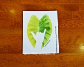 ϥ磻 HDM Aloha Driver2 㥫 ƥå