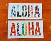 ϥ磻 HDM ALOHA/ Photo ƥå3