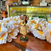 �ϥ磻 �ե饬���� ���å���ܡ��� �ɡ���