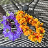 �ϥ磻 �ե��쥤2