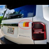 (�����б���) 2024-��󥯥� 250�����ɥ��롼����250 �ơ��륲���� ���饷�å����顼�ǥ�����